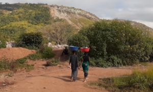 DRC Critical Minerals Mining Sector